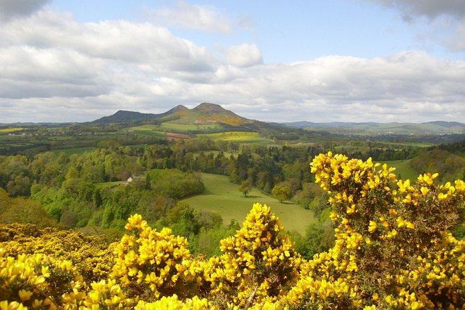 Rosslyn Chapel and Scottish Borders Small-Group Day Tour from Edinburgh - A scenic road trip with a strong guide