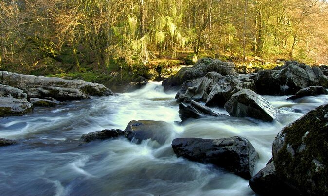 Scotland's Glens, Highlands & Whisky Day Trip from Edinburgh - Through the Trossachs and Highland countryside