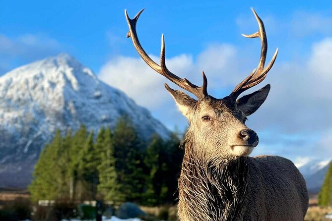 Scottish Highlands, Loch Ness and Glencoe Day Trip from Edinburgh - Loch Ness is the day’s big prize
