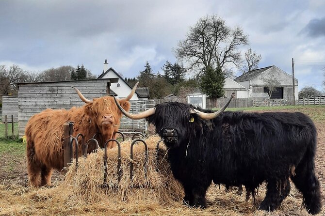 Scottish Whisky Distillery & Fairytale Dunrobin Castle - Balblair and the whisky portion of the day