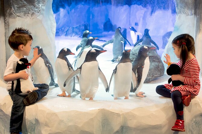 SEA LIFE Birmingham Admission Ticket - Meeting Ozzy and Ola, Birmingham’s sea otter stars