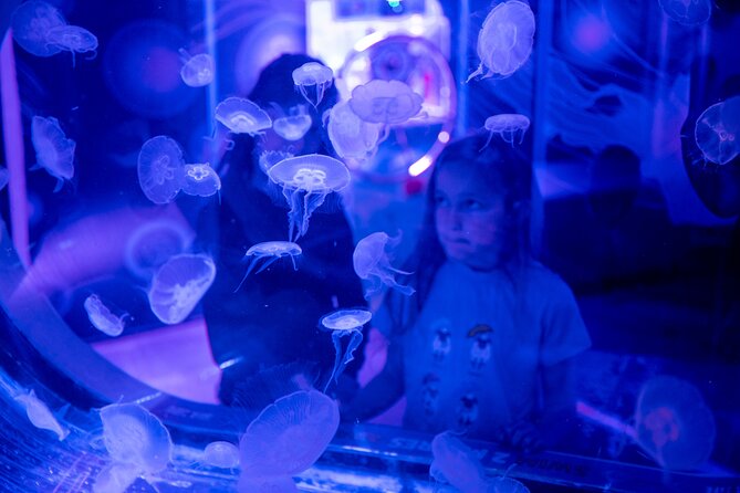 SEA LIFE Birmingham Admission Ticket - More than 2,000 creatures, but not an all-day aquarium