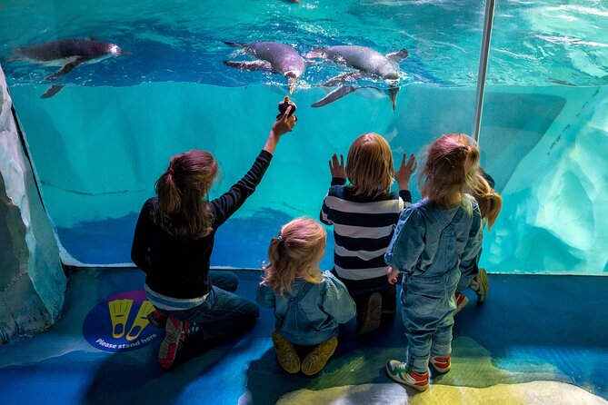 SEA LIFE Birmingham Admission Ticket - Timing your visit in Birmingham