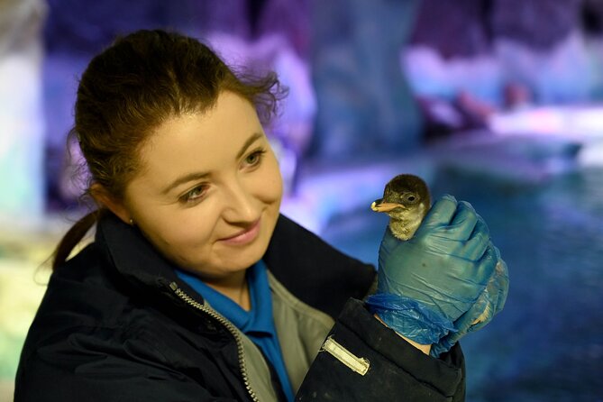 SEA LIFE Birmingham Admission Ticket - Who will enjoy this most?