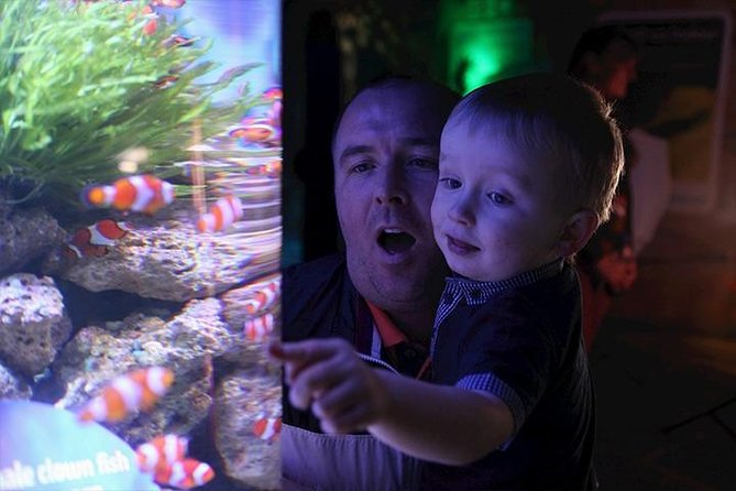 SEA LIFE Blackpool Admission Ticket - Tropical rays beneath the underwater tunnel