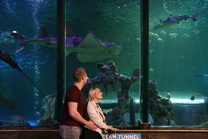 SEA LIFE Blackpool Admission Ticket - Seahorse Kingdom and tropical reef fish