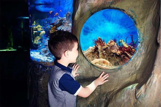 SEA LIFE Blackpool Admission Ticket - The submarine section and jellyfish displays