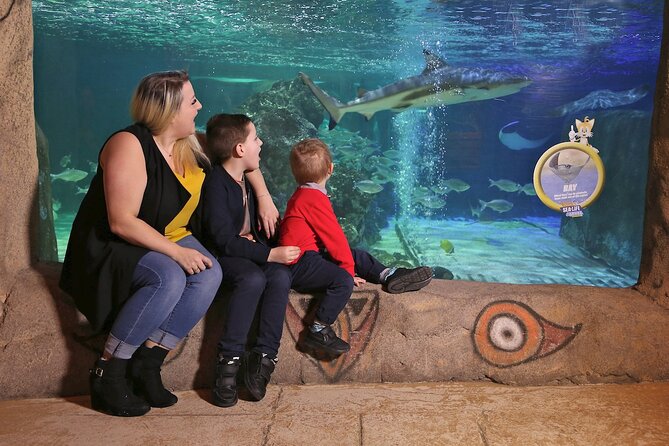 SEA LIFE Blackpool Admission Ticket - A jungle walk with turtles and frogs