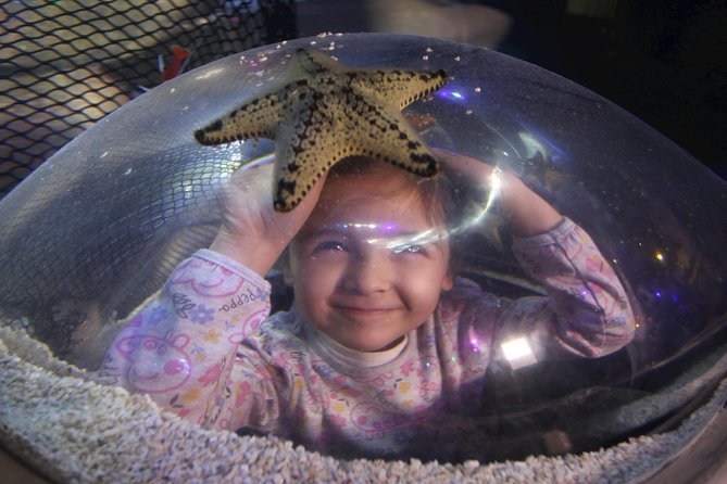 SEA LIFE Blackpool Admission Ticket - Sea Stars and close-up viewing