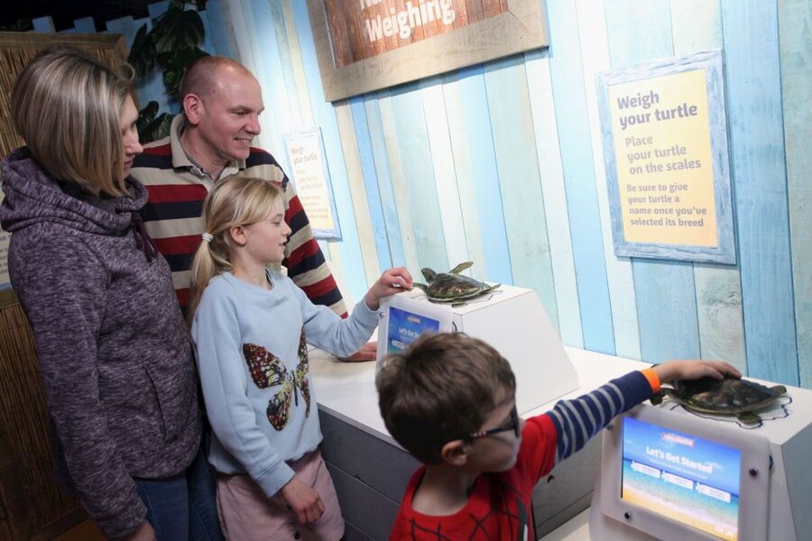 SEA LIFE Blackpool Entrance Ticket - Sharks, turtles, and an easy family outing