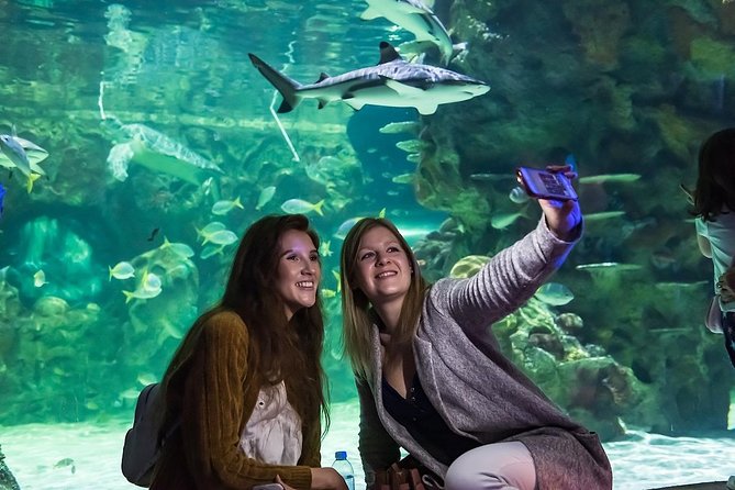 SEA LIFE Brighton Admission Ticket - The Glass Tunnel and Optional Boat Ride