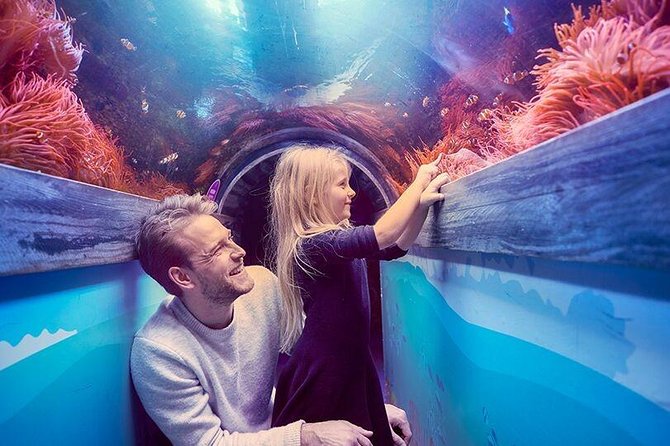 SEA LIFE Brighton Admission Ticket - How Long to Allow and Who Will Enjoy It