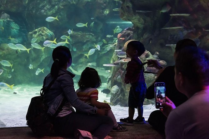 SEA LIFE Brighton Admission Ticket - Price, Booking Value, and the Voucher Detail