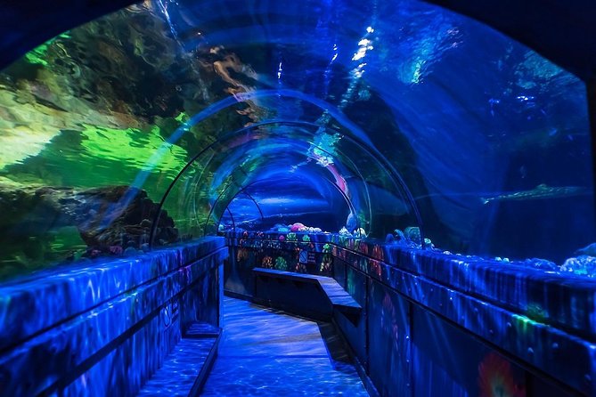 SEA LIFE Brighton Admission Ticket - What the Ratings Tell You
