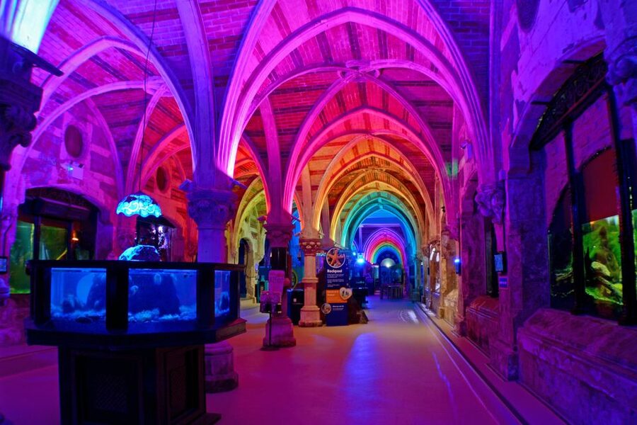 Sea Life Brighton Admission Ticket - Food, facilities, and comfort