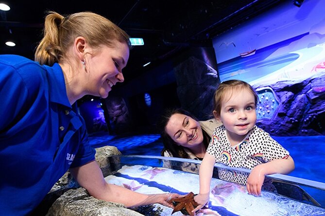 SEA LIFE London Aquarium Admission Ticket - SEA LIFE London’s location beside the London Eye