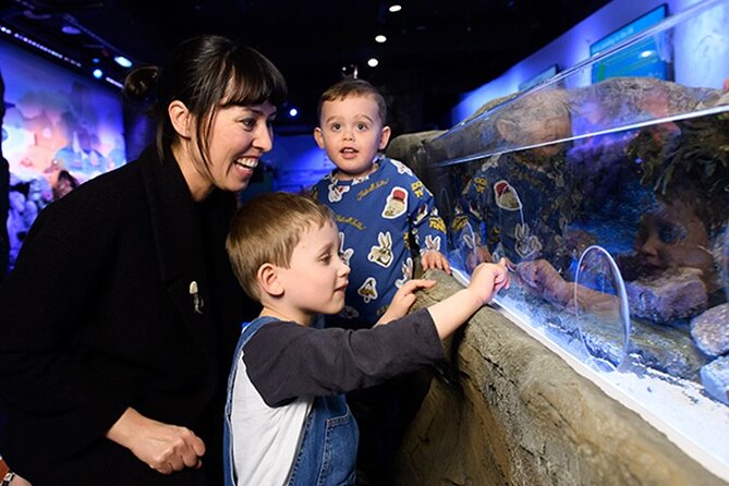 SEA LIFE London Aquarium Admission Ticket - Starting below the Atlantic Ocean