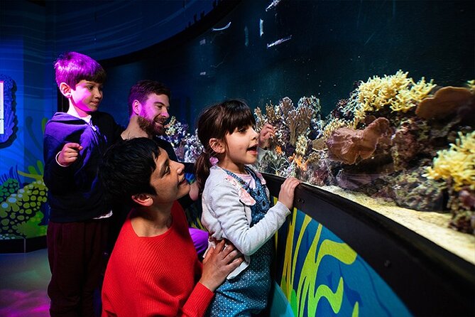 SEA LIFE London Aquarium Admission Ticket - Rainforest Adventure and the creepy-crawly section