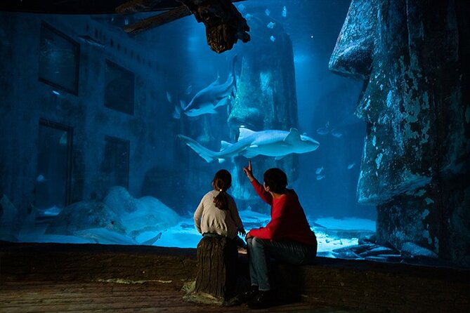 SEA LIFE London Aquarium Admission Ticket - Who should book SEA LIFE London?