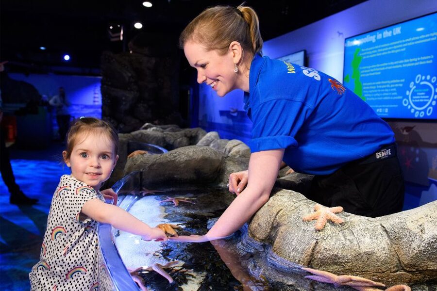 SEA LIFE London & DreamWorks Shrek's Adventure: Combo Ticket - Mangroves, rainforests, and jellyfish