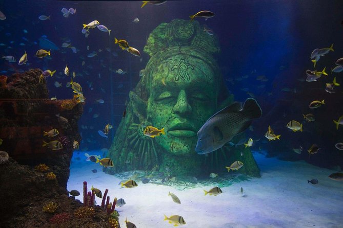 SEA LIFE Manchester Admission Ticket - The glass tunnel is the visual high point