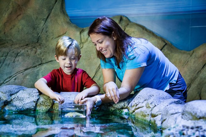 SEA LIFE Manchester Admission Ticket - Rockpools are the best hands-on stop