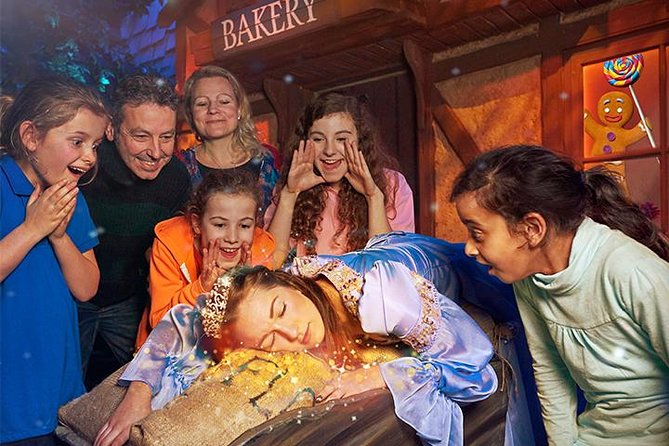 Shrek's Adventure! London Entrance Ticket - Timing, queues, and the pace inside