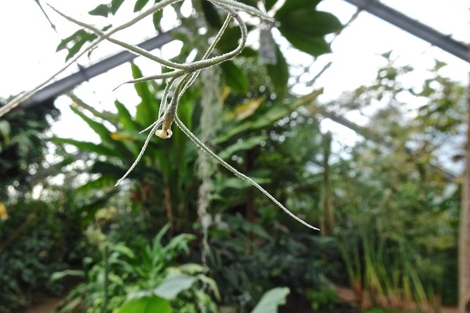 Skip-the-Line: Botanic Garden Entry Ticket - What you actually see during the visit