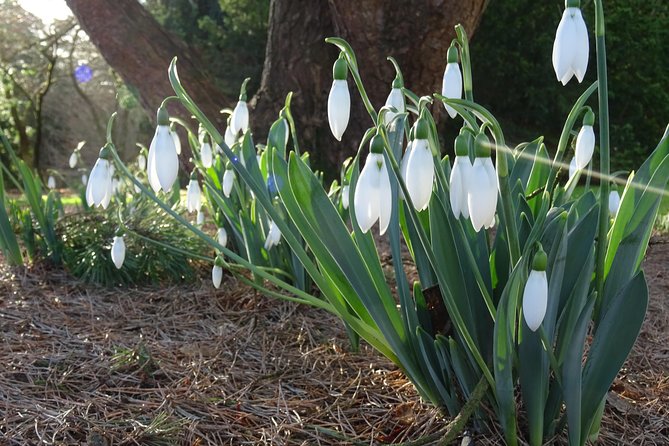 Skip-the-Line: Botanic Garden Entry Ticket - Cafe, seating, and useful comforts