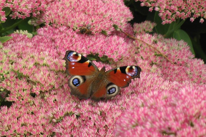 Skip-the-Line: Botanic Garden Entry Ticket - Why the glasshouses can change the whole visit