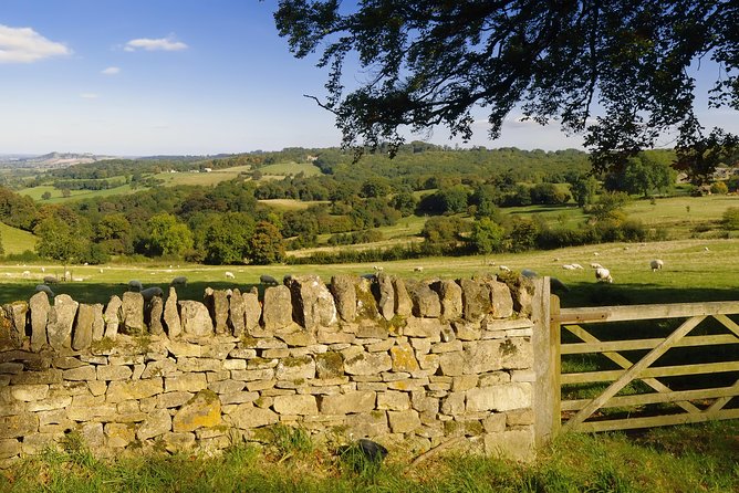 Small-Group Cotswolds Tour (From London) - The driver-guide can make or break the ride