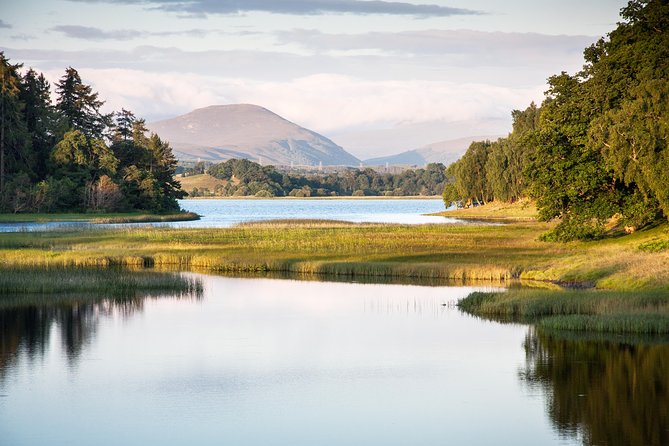 Speyside Whisky Trail Day Tour from Aberdeen Including Admissions - The Whisky Castle has more than 600 malts