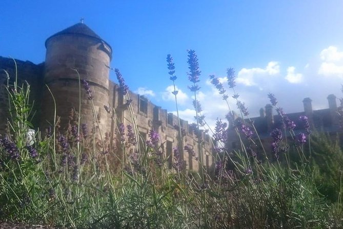 St Andrews, Falkland and Fife Villages Tour from Edinburgh - Making the most of three hours in St Andrews