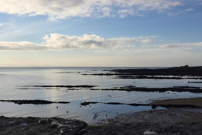 St Andrews, Falkland and Fife Villages Tour from Edinburgh - Who will enjoy this day most