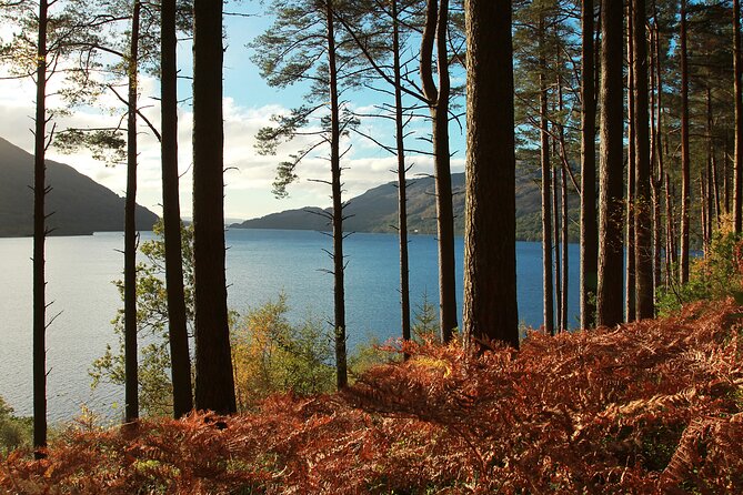 Stirling Castle, Loch Lomond and Cruise Day Tour from Glasgow - Through the Trossachs and into the countryside