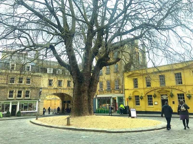 Stonehenge, Bath, Windsor and Roman Baths London Day Tours - Windsor Castle and Britain’s royal past
