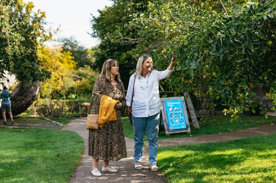 Stratford-upon-Avon: Anne Hathaway's Cottage Entry ticket - The Shakespeare and Anne Hathaway love story