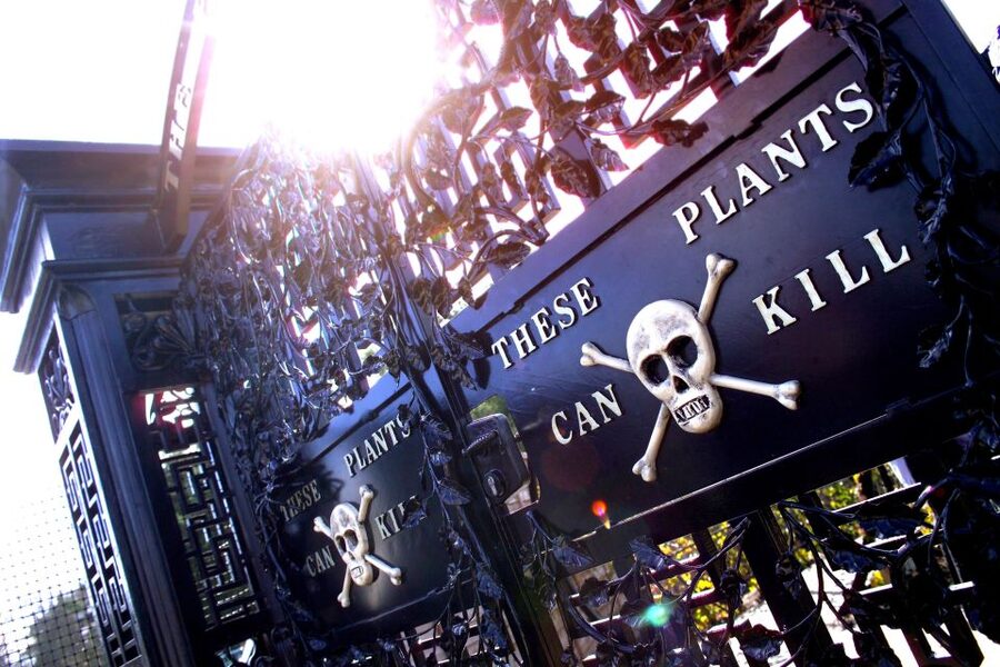 The Alnwick Garden: Entry Ticket - How much time and money should you allow?