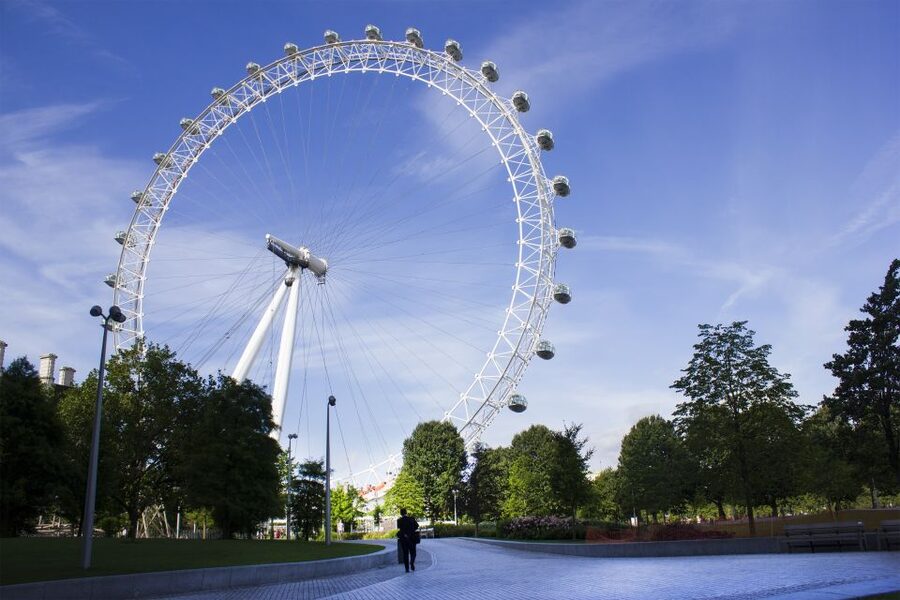 The London Eye Champagne Experience - The 30-minute London Eye flight
