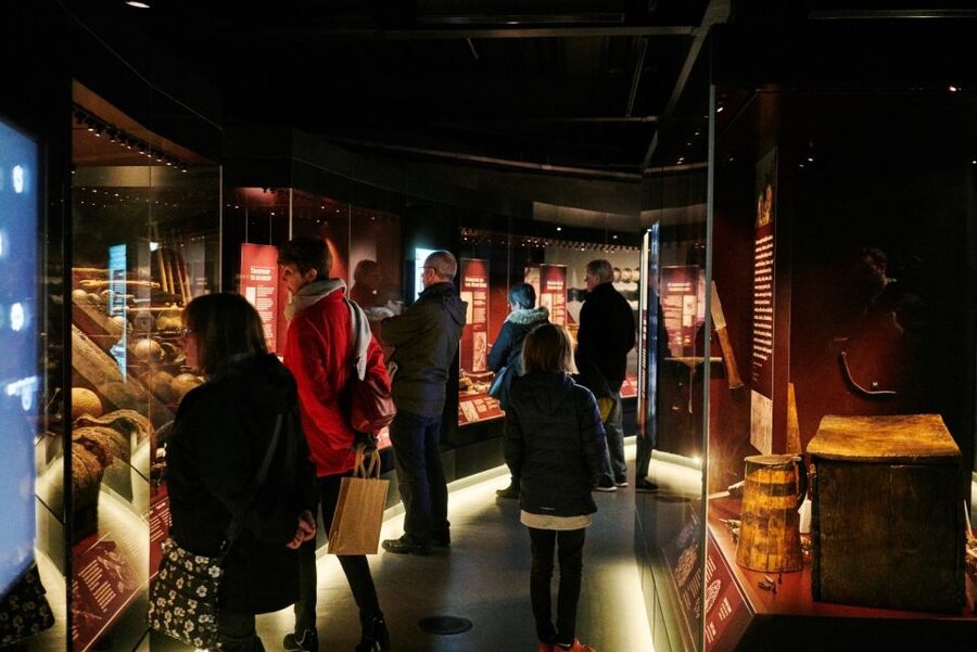 The Mary Rose: Day Admission Ticket - The 1545 experience and the ship’s final moments