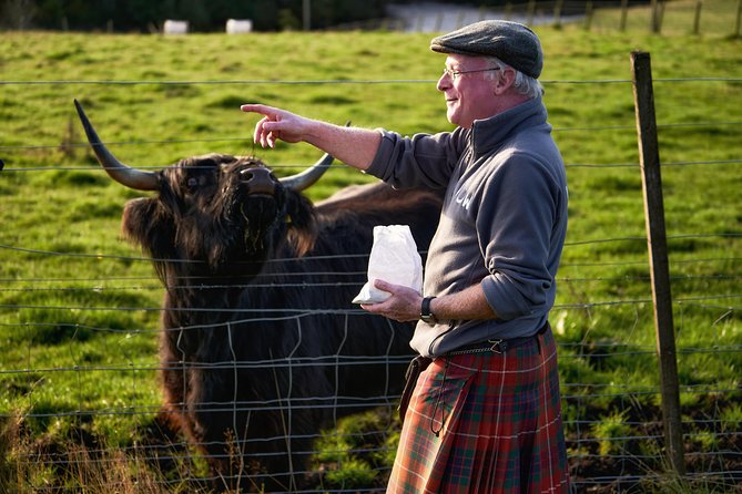 The Ultimate Isle of Skye Day Tour from Inverness - The Fairy Pools are the day’s best walking stop