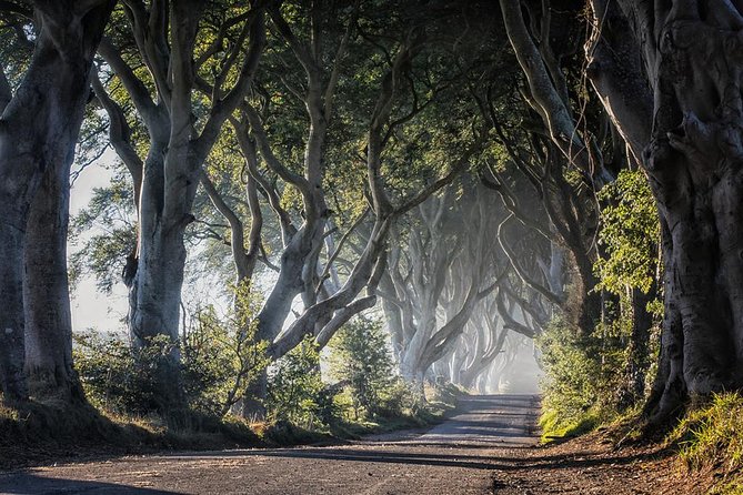 Titanic Experience and Giant's Causeway tour from Belfast - Walking, weather, and family suitability