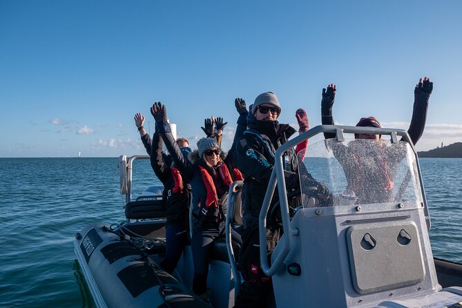 Torquay Coastal RIB Seafari - A fast introduction to Torquay Bay