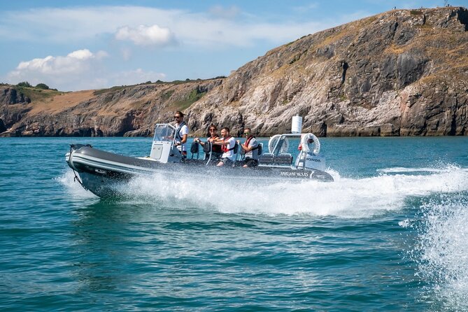 Torquay Coastal RIB Seafari - The guides make the difference