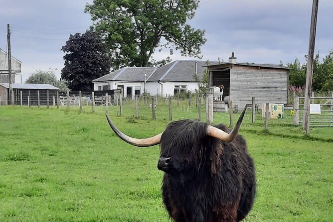 Urquhart Castle, Culloden, Clava Cairns, Loch Ness - Clava Cairns connects prehistory with Outlander