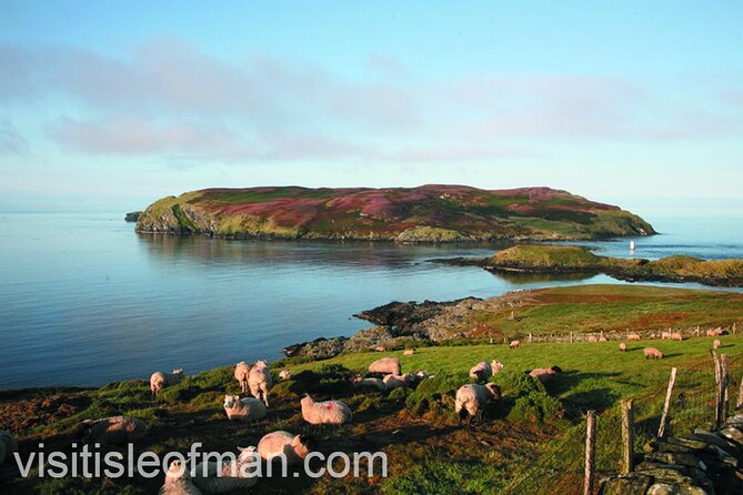 Viking Tour of the Isle of Man - Half Day - Private Tour - Cregneash and the old Manx farming way of life