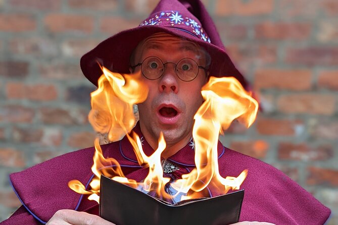 Wizard Walk of York - WINNER Best Tour & Best of York Award - Bedern Hall and the final owl hunt