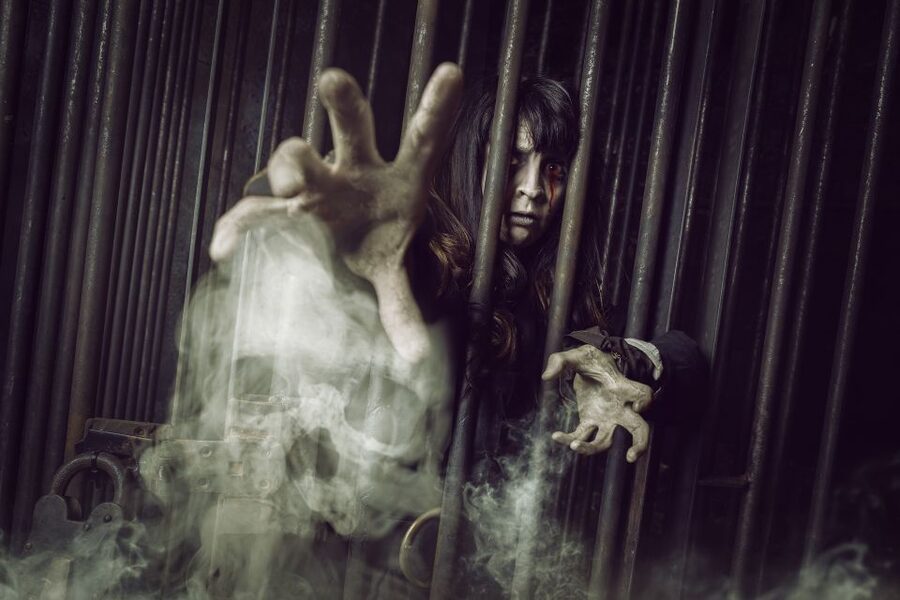 York: The York Dungeon Entry Ticket - Key points to know before you go
